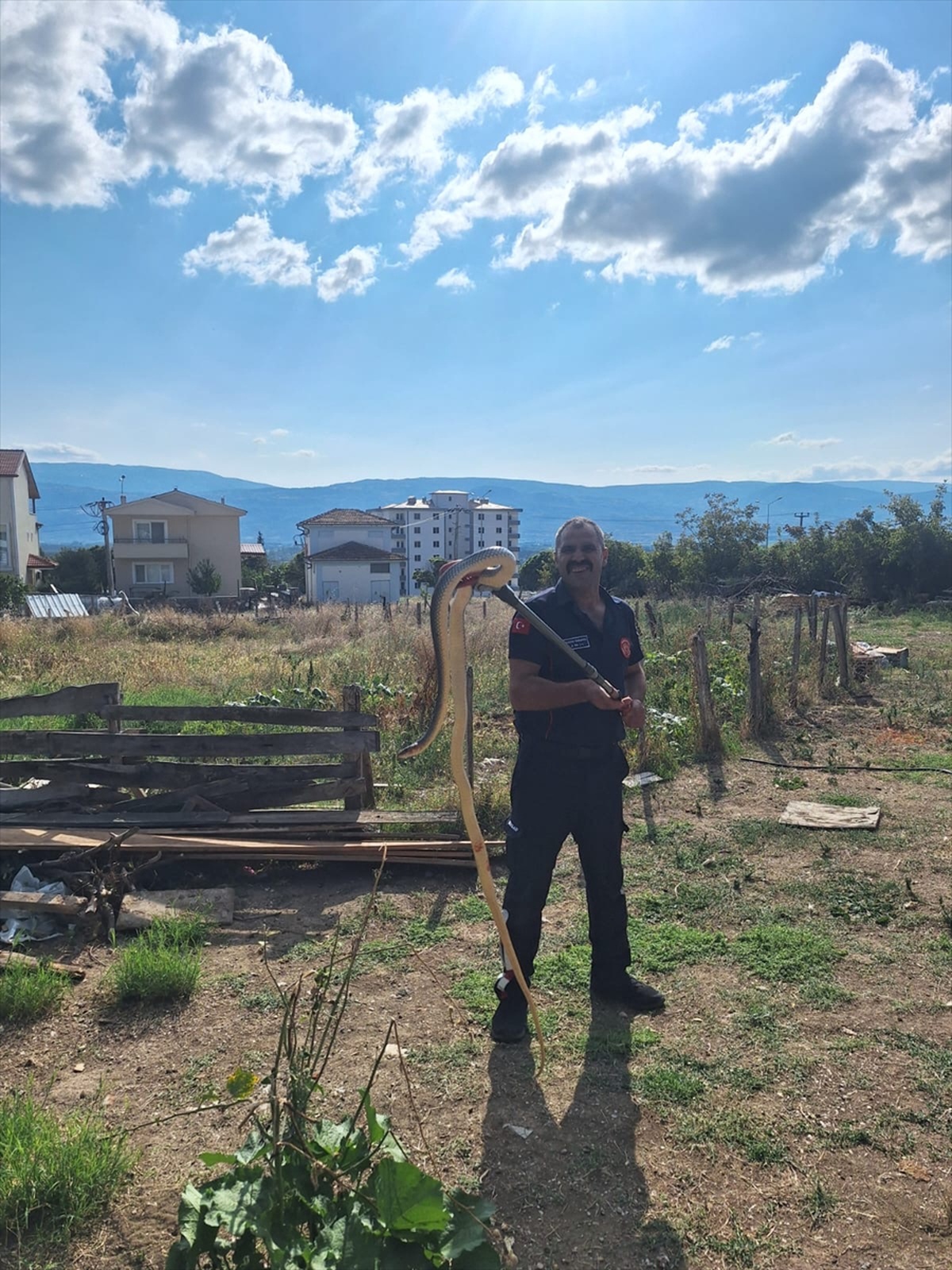 Tokat Niksar'da ahıra giren yılan itfaiye ekiplerince yakalanıp doğaya bırakıldı
