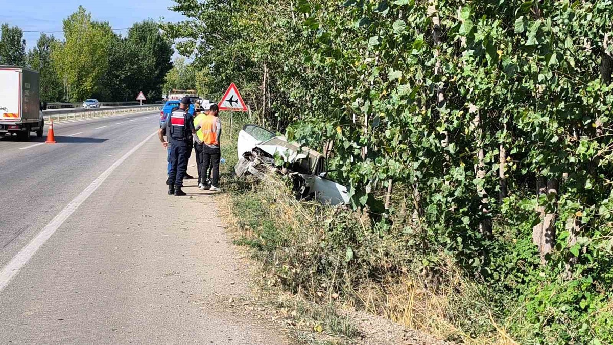 Tokat'ta otomobil elektrik direğine çarptı, hastanede hayatını kaybetti