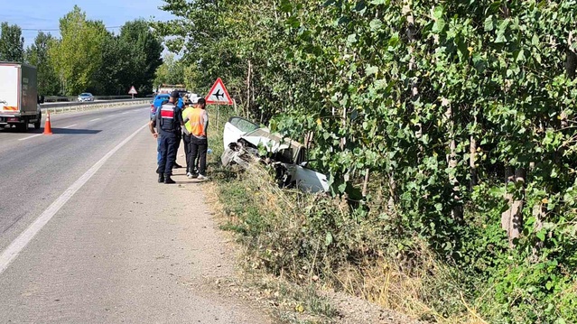 Tokat'ta otomobil elektrik direğine çarptı, hastanede hayatını kaybetti