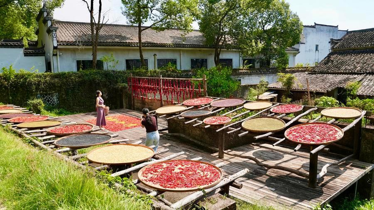 Çin\'in Wuyuan ilçesinde sonbahar hasadı kurutulurken turist akını yaşanıyor