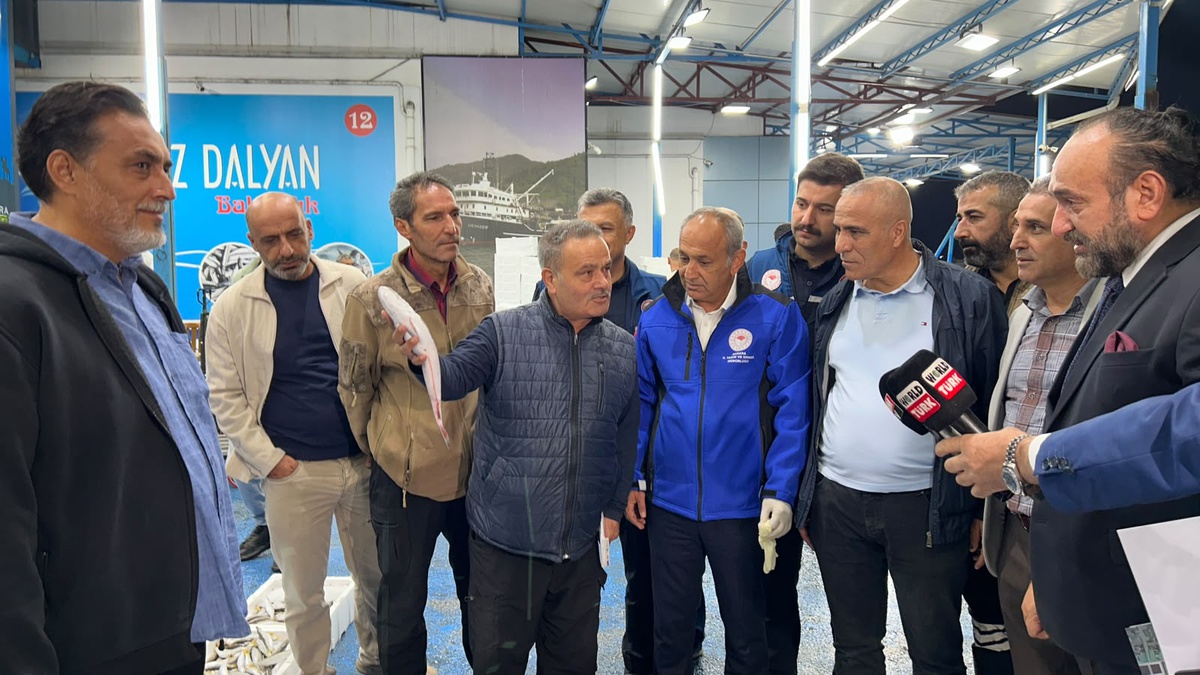 Ankara\'da balık sezonu açıldı, hamsi ve palamut bolluğu esnafı sevindirdi