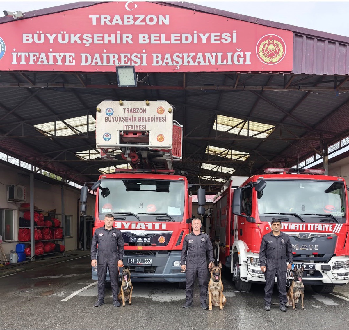 Trabzon\'daki K-9 enkaz eğitim sahasında 70 arama köpeği eğitildi