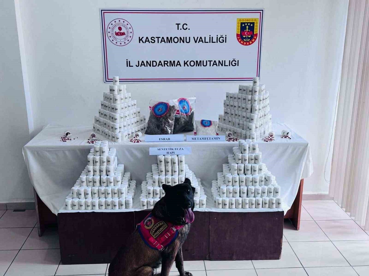 Kastamonu'da uyuşturucu davası sürüyor, sanık tahliye ve beraat talep etti
