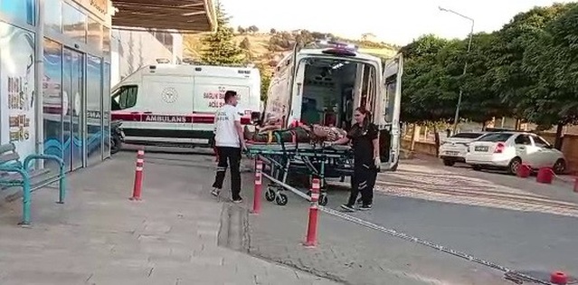 Çağlayancerit'te ceviz ağacından düşen Mehmet Kıran ağır yaralandı