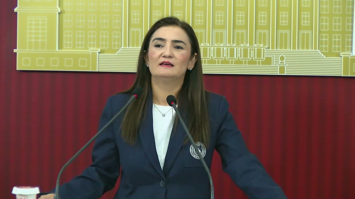 CHP’li Erdan Kılıç: “Çete üreten zemini ortadan kaldırmak asıl görevidir devletin”