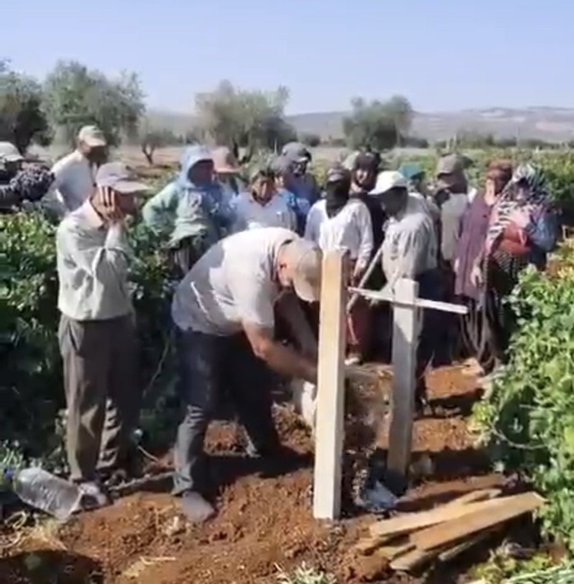 Üzüm fiyatı 18 TL'den 10 TL'ye düşünce çiftçi bağda sela okudu
