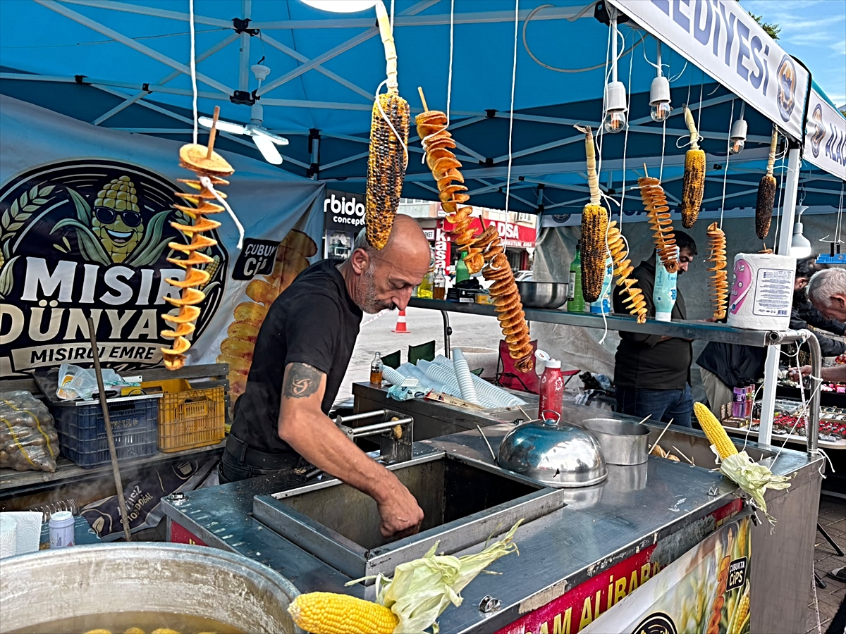 Çorum\'da AlacaFest başladı