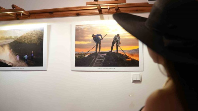 Mevsimlik işçilerin mangal kömürü mesaisi Safranbolu'da fotoğraflarla anlatılıyor