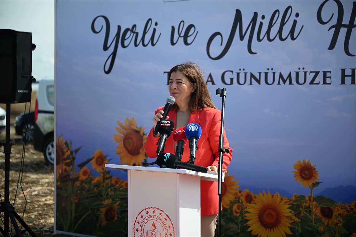 Edirne\'de yerli hibrit ayçiçeği hasadında Vali Sezer\'den üreticiye destek sözü