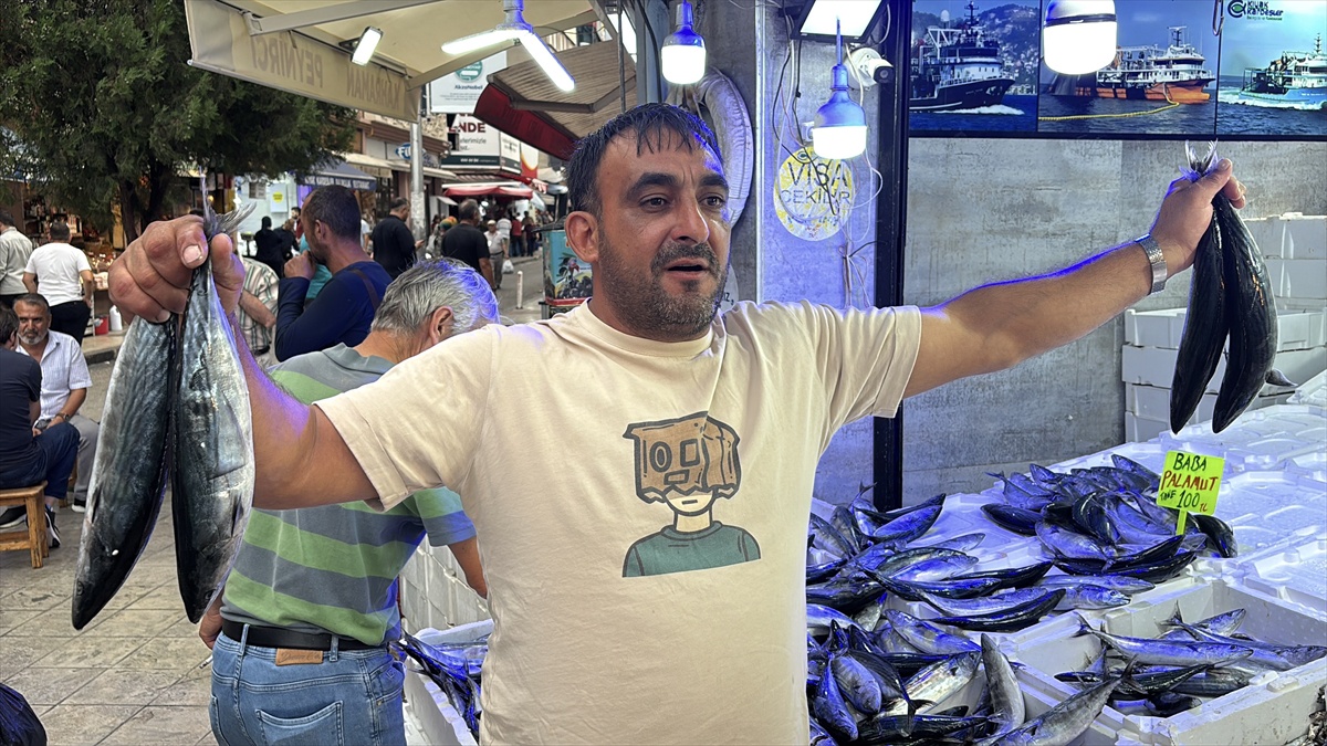 Karadeniz\'de palamut bolluğu tezgahlarda fiyatları düşürdü
