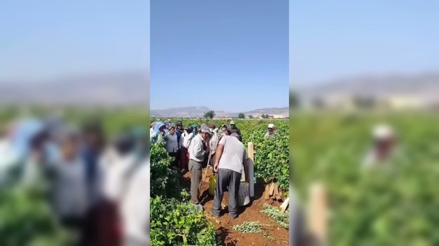 Kilis'te üzüm üreticileri 11 liralık alım fiyatını bağlarda sela okuyarak protesto etti