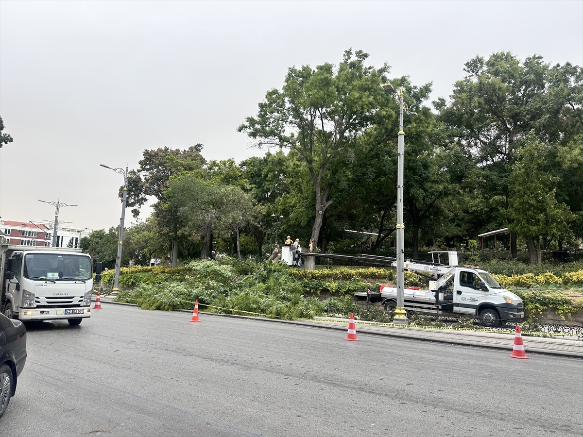 Konya\'da fırtınada tramvay yoluna devrilen ağacın altında kalan çocuk yaralandı