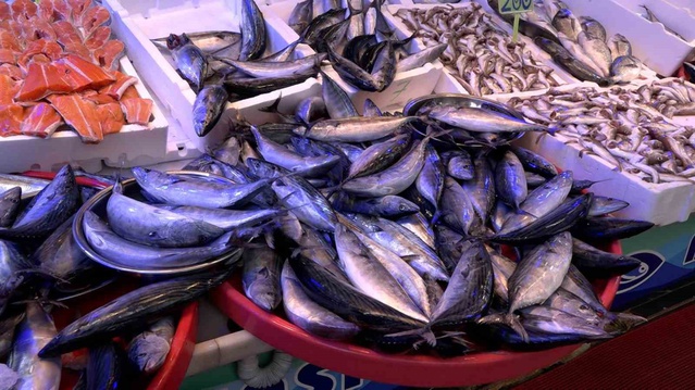 Rize'de palamut ve hamsi bolluğu tezgahları canlandırdı