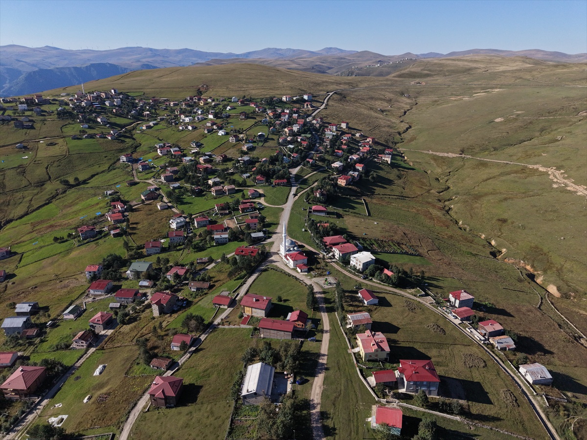 Trabzon yaylaları sonbahar renklerine bürünüyor