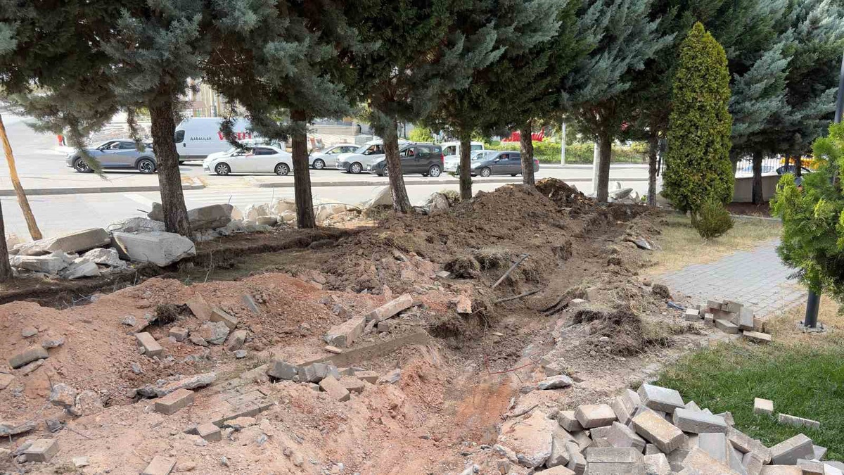 Ankara Etimesgut\'ta 40 ağaç kesimine tepki, çalışma 2 gün durduruldu