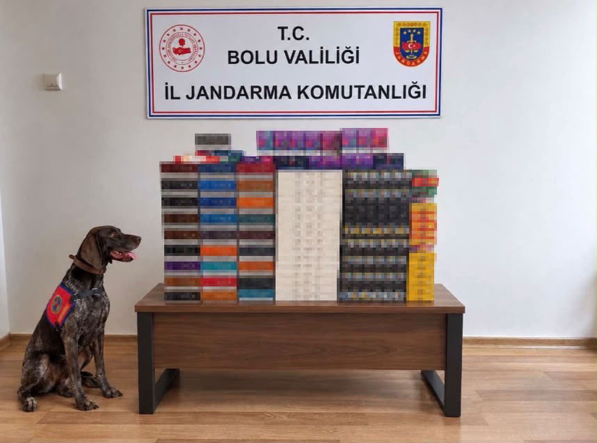 Bolu\'da yolcu otobüslerinde 760 bin TL\'lik kaçak tütün ele geçirildi