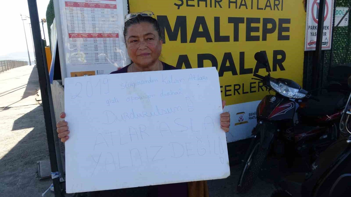 Büyükada\'da kalan son 16 at için sevk iddiası, hayvanseverler işlem durdurulsun çağrısı yaptı