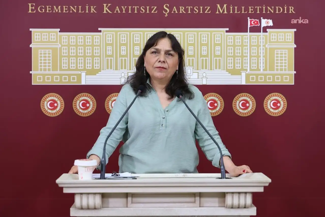 DEM Partili Saki, 'Ailem Güvende' operasyonlarını iki bakanlığa sordu