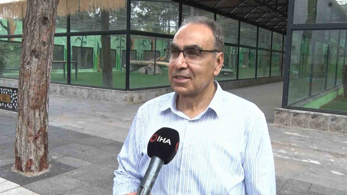 Gaziantep’te ‘Yırtıcı Adası’ heyecanı
