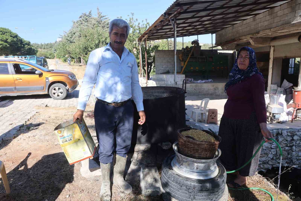 Geleneksel yöntemlerle kazanlarda pişirilen karakılçık buğdayı, damlarda kurutuluyor