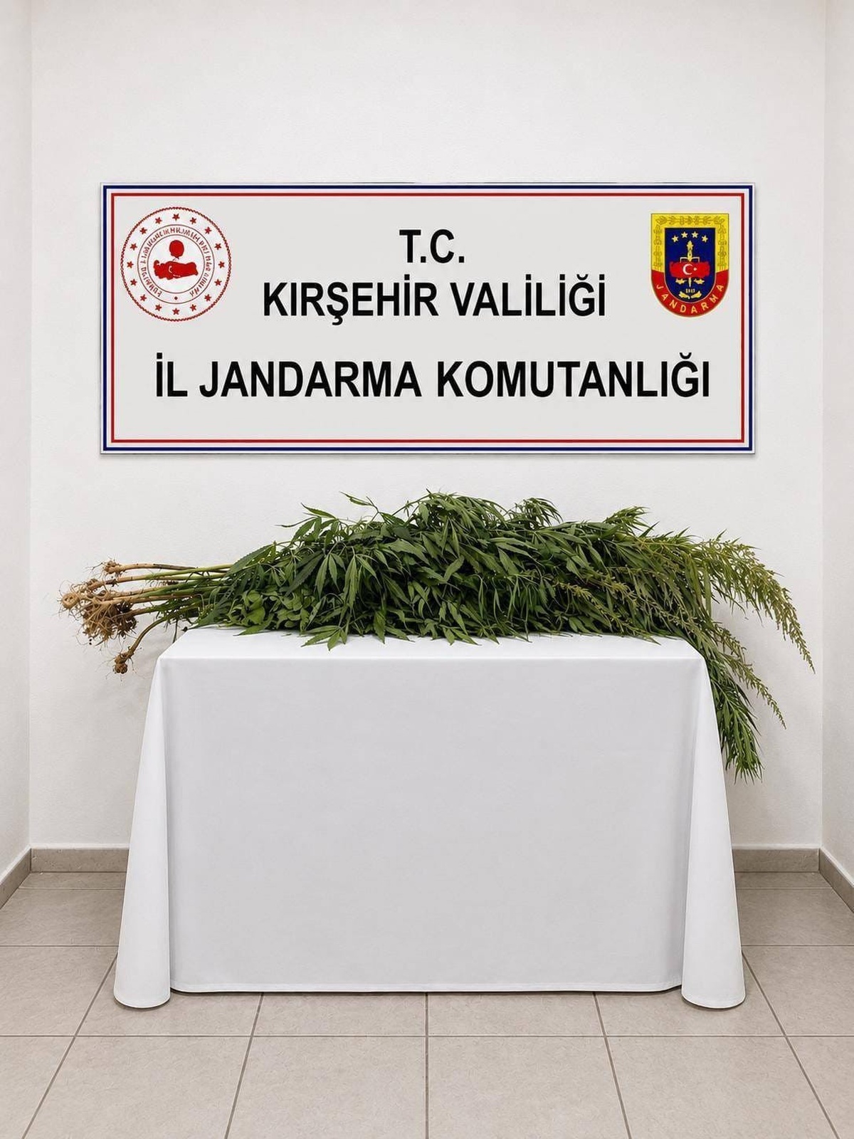 Kırşehir Boztepe\'de iki şüphelinin ikametinde 30 kök uyuşturucu ele geçirildi
