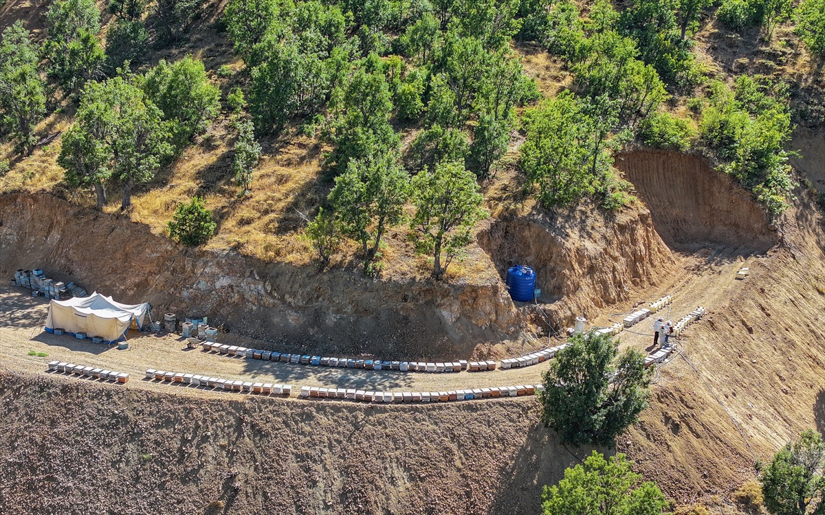 Lice\'de yağışla bal verimi arttı, kovan başına 10 kilodan 20 kiloya çıktı