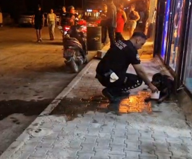 Samandağ'da silahla vurulan sokak köpeğine polis ekipleri sahip çıktı