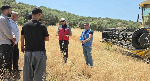 Dicle'de yüzde 75 hibeli mercimek tohumu için başvurular başladı