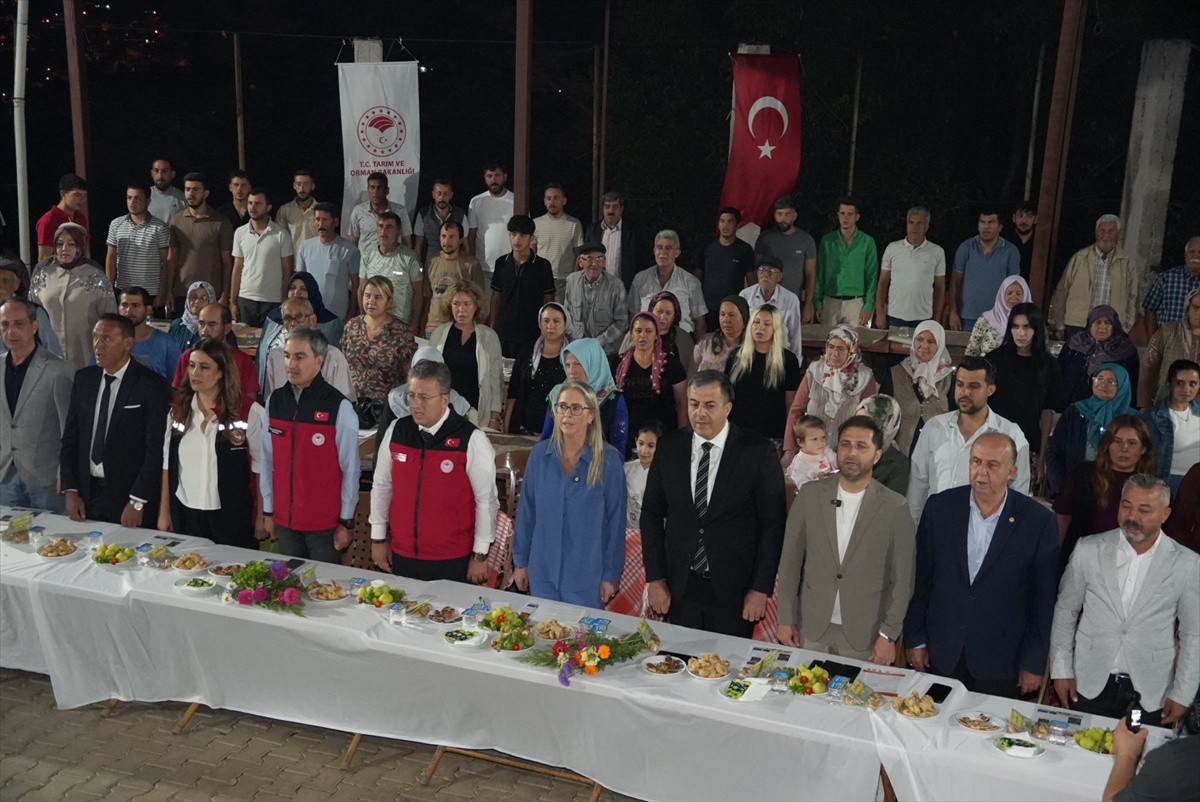 Tire\'de incir üreticilerine aflatoksin riskine karşı 4 bin 300 kasa verildi