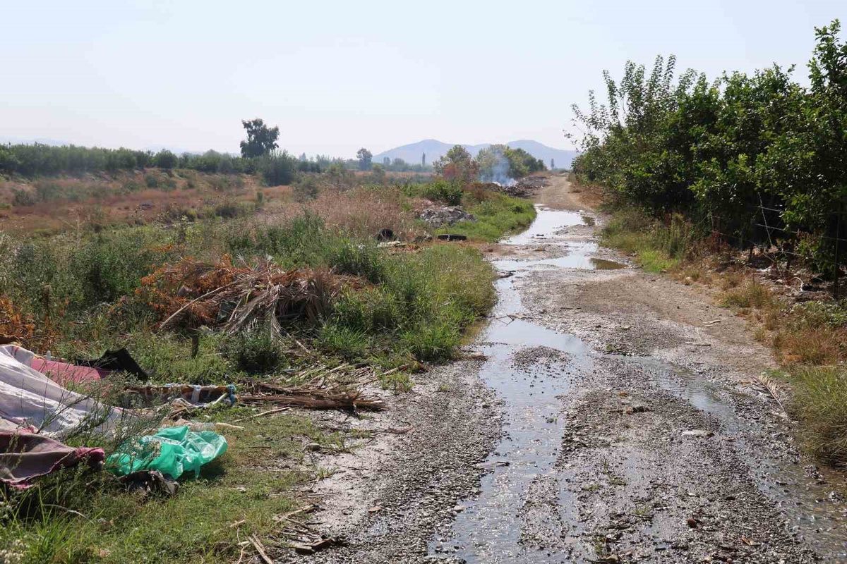 Adana Kozan\'da Deliçay Deresi çevresi çöple doldu, narenciye üreticisi tepkili