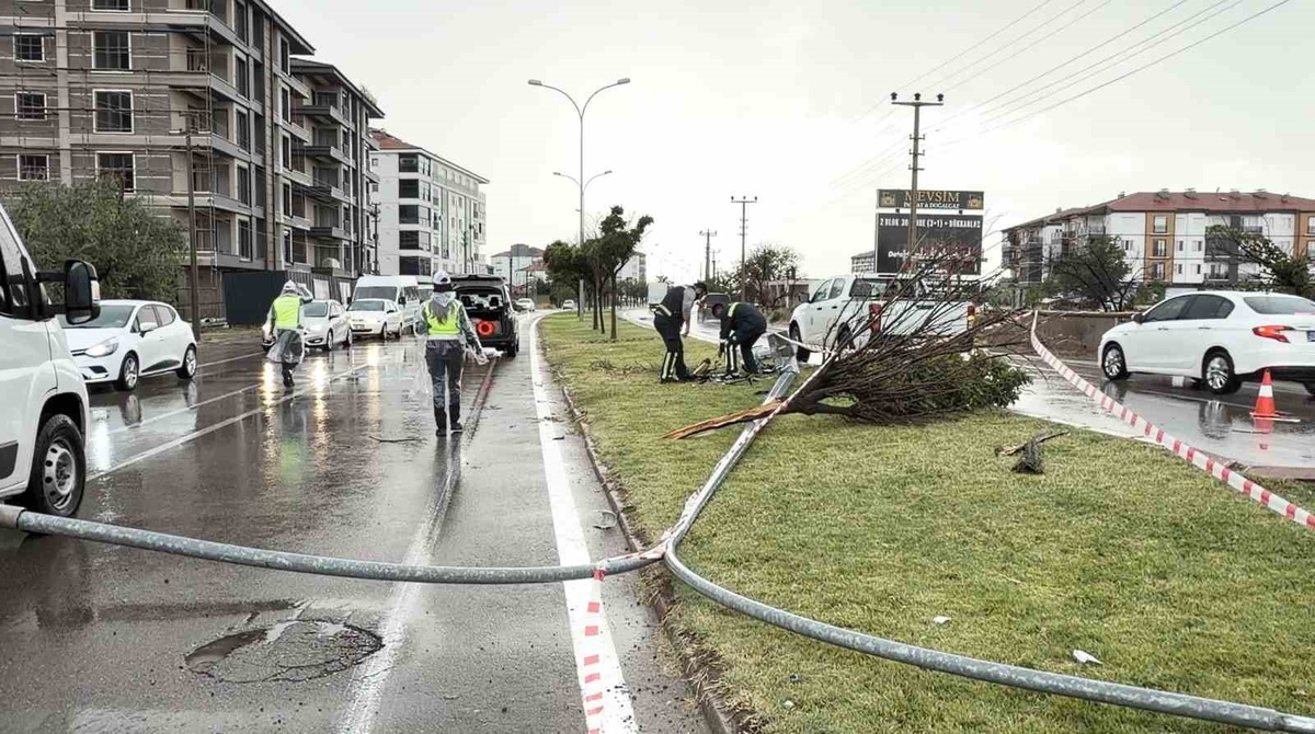 Aksaray\'da otomobil çarptığı direği ve refüjdeki ağacı devirdi, sürücü yaralandı