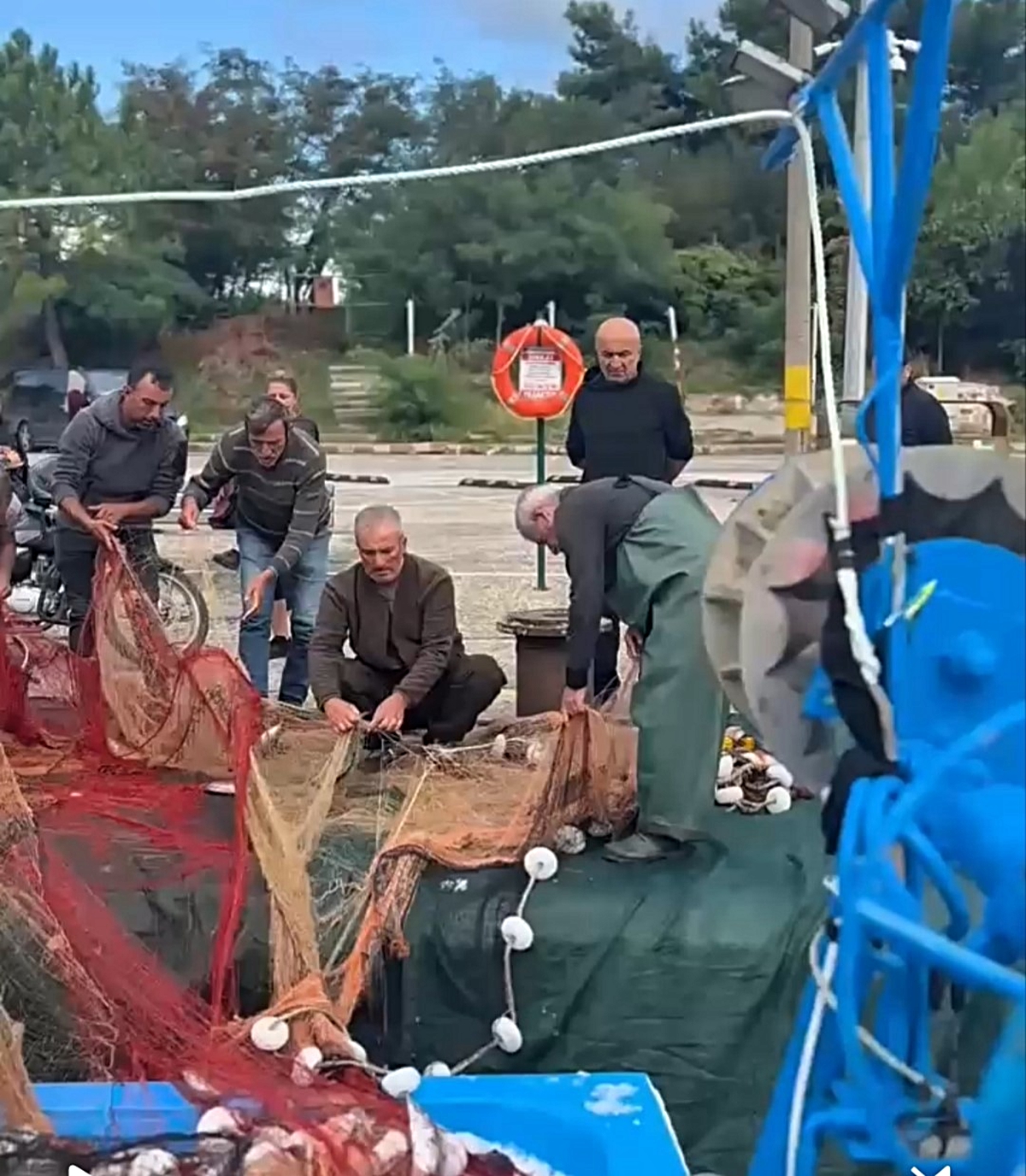 Amasra\'da balıkçının ağlarına bir gecede yaklaşık 2 bin palamut takıldı