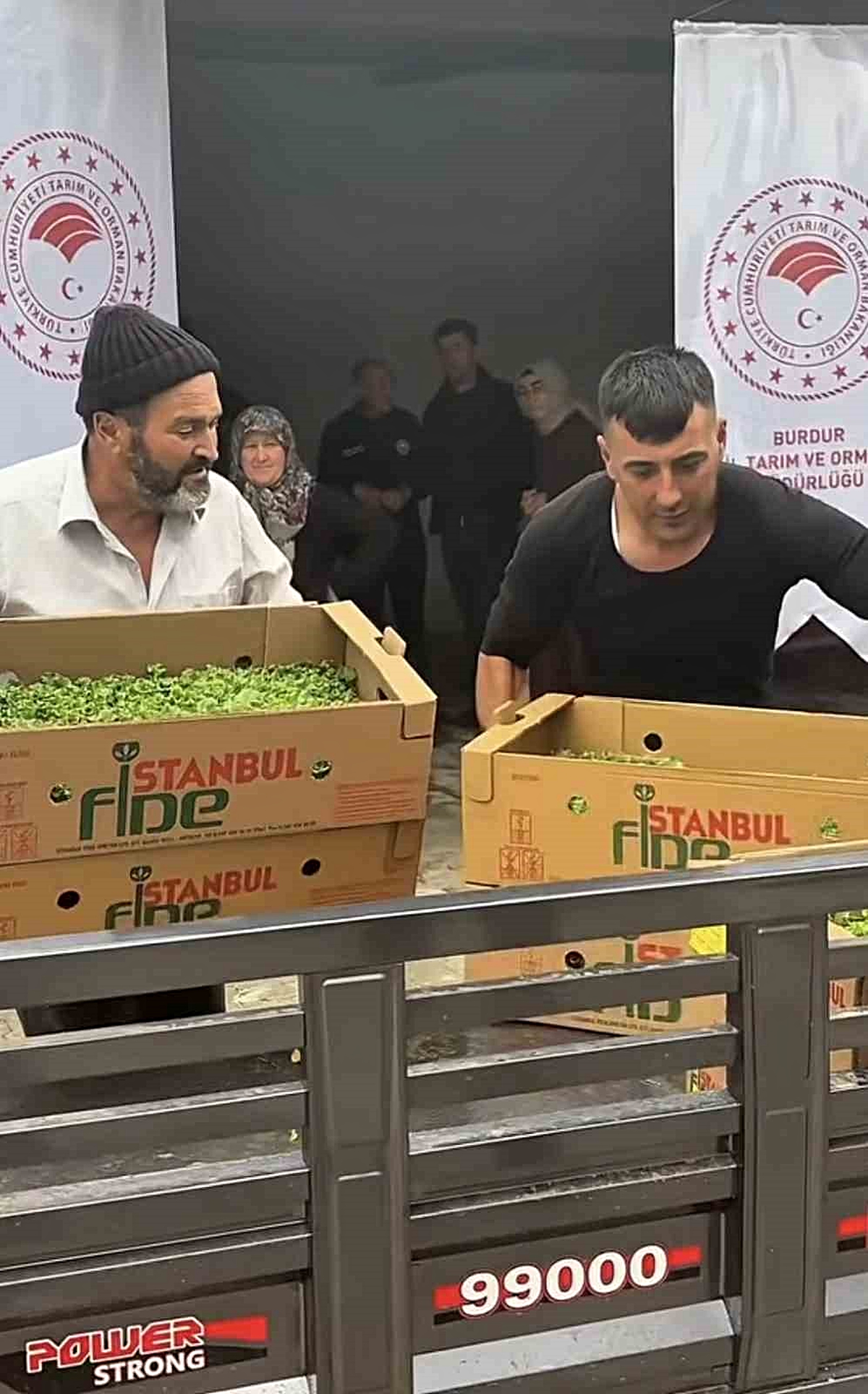 Burdur\'da üreticilere yüzde 75 hibeyle 164 bin 500 marul fidesi dağıtıldı