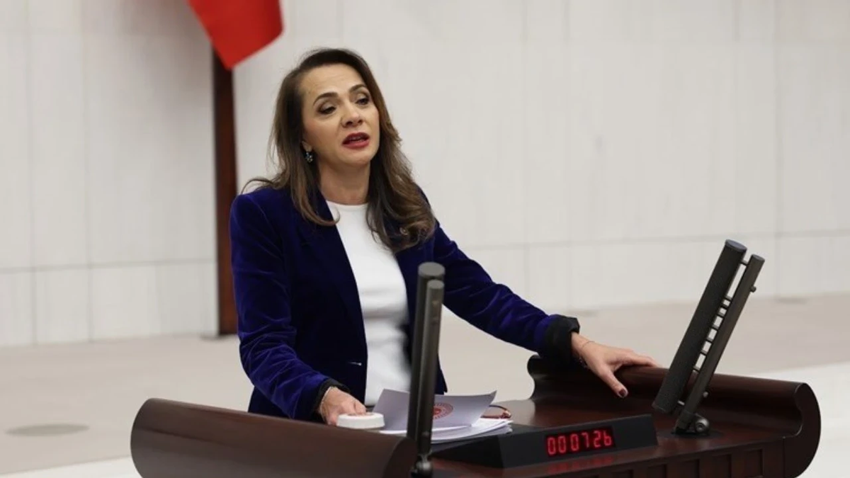 CHP\'li İlgezdi\'den Şimşek\'e köprü ve otoyol özelleştirmesi soruları