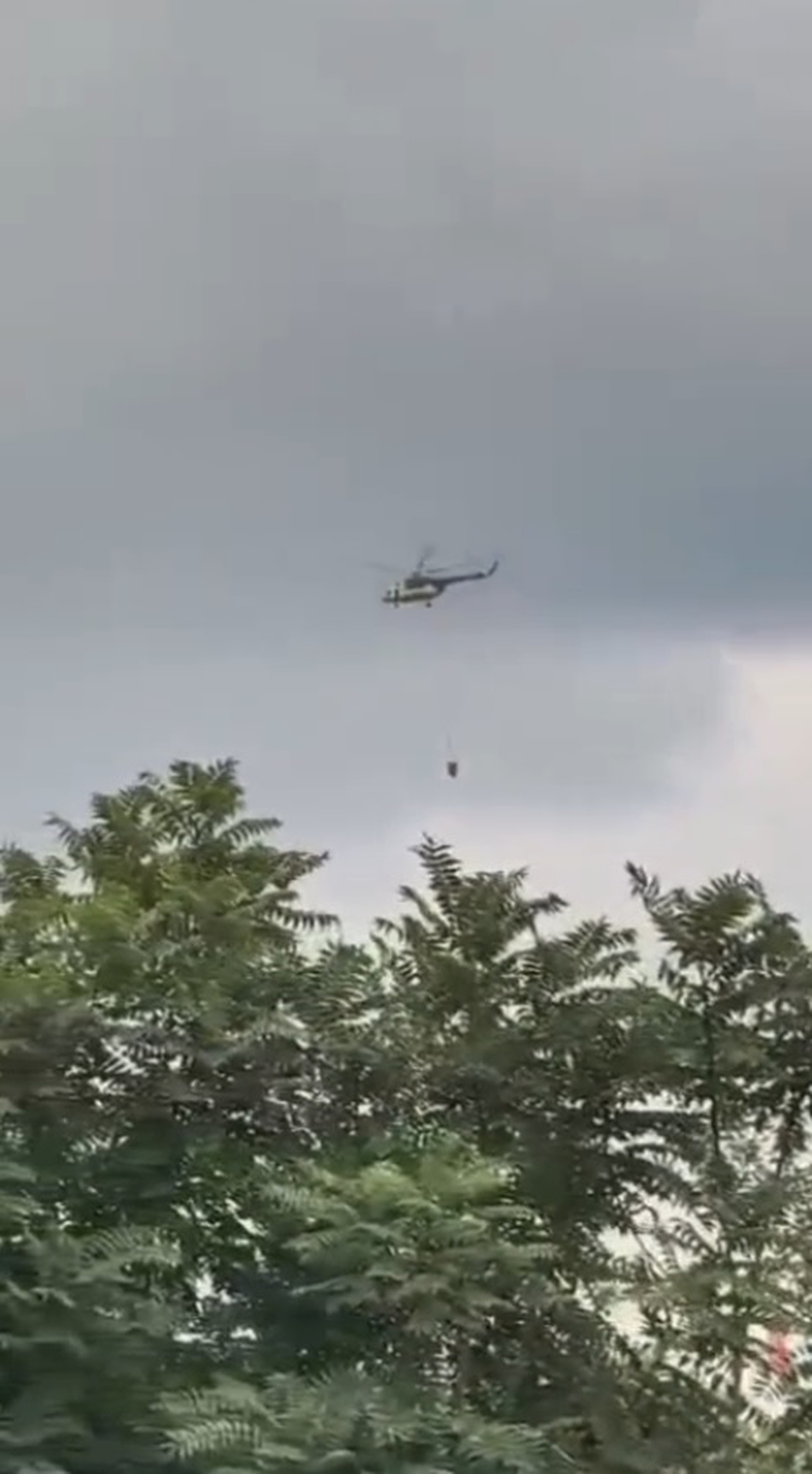 Hatay Dörtyol\'da çıkan orman yangınına 2 helikopterle müdahale ediliyor