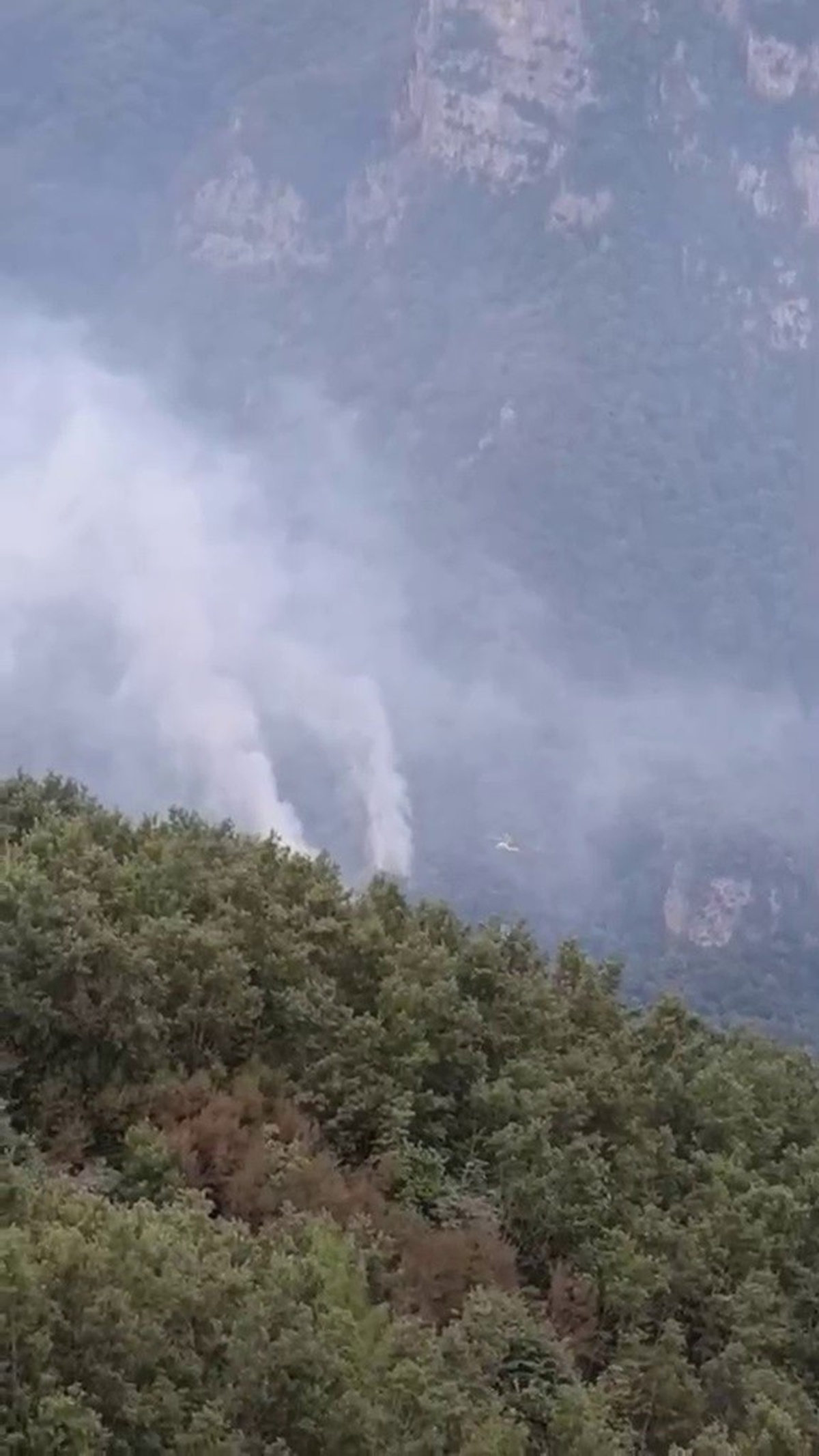 Hatay Dörtyol'da orman yangını çıktı, ekipler havadan ve karadan müdahale ediyor