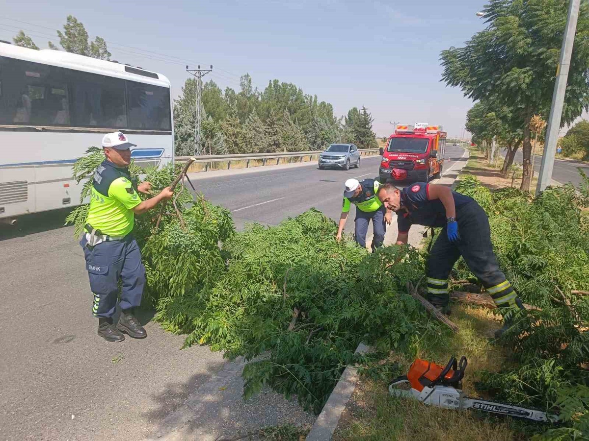 Batman-Silvan karayolunda devrilen ağaç itfaiye ekiplerince kaldırıldı