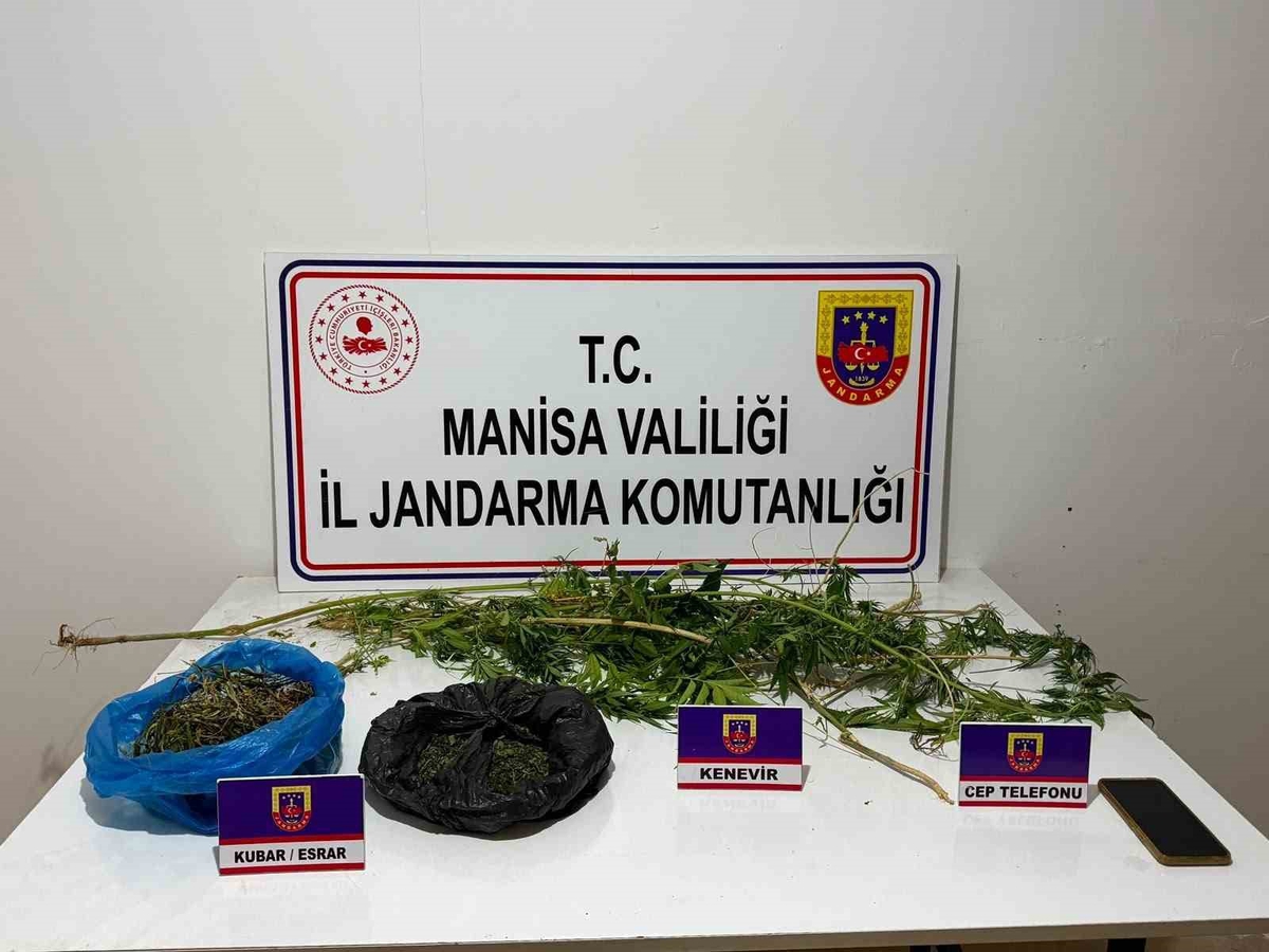 Manisa Sarıgöl'de 352 gram esrar ve 44 kök kenevir ele geçirildi, şüpheli tutuklandı