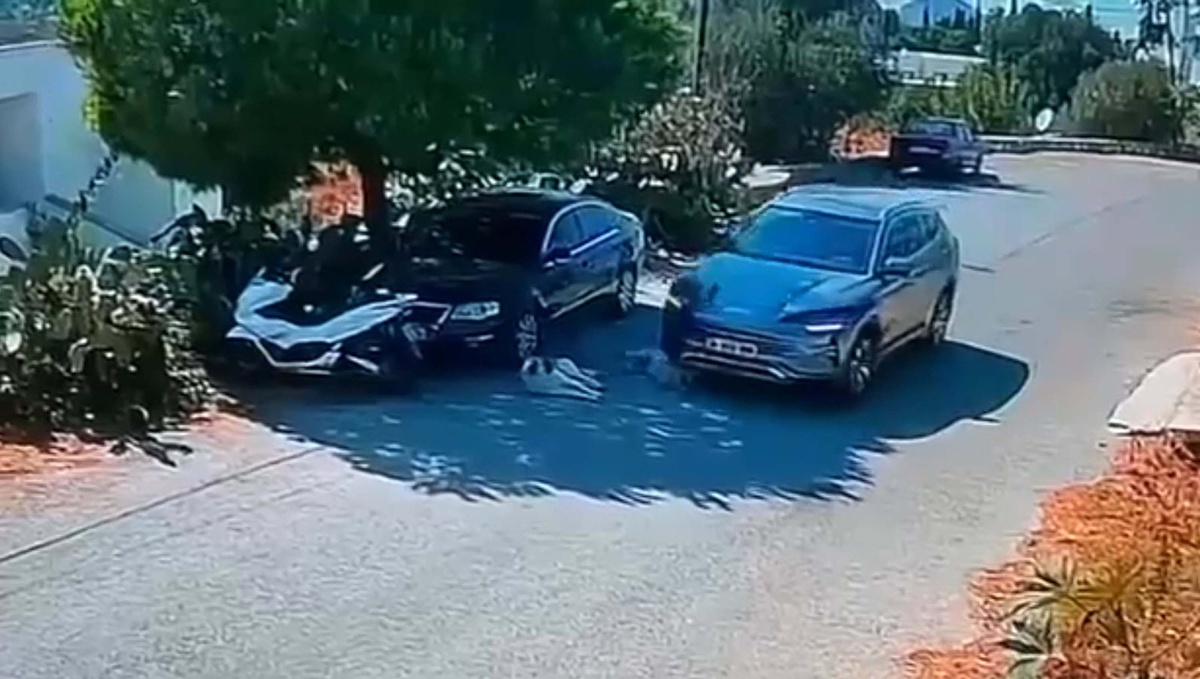 Bodrum\'da iki köpeğin üzerinden geçip kaçan sürücünün kimliği belirlendi! Köpeklerden 4 gündür haber yok