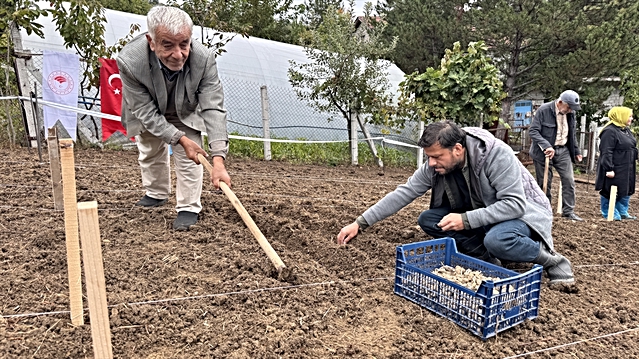 Zonguldak'ta orman köylüsüne salep desteği, 6 üreticiye 400 bin lira kredi ve hibe verildi