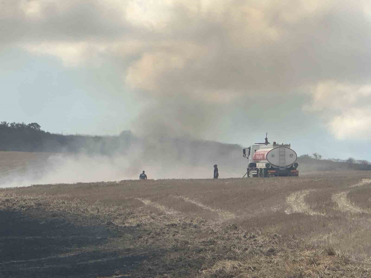 Tekirdağ Muratlı\'da anız yangını rüzgarla yayıldı, ekipler söndürmeye çalışıyor
