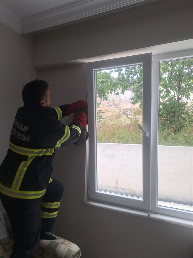 Tokat Niksar'da apartman penceresinde sıkışan kedi itfaiye tarafından kurtarıldı
