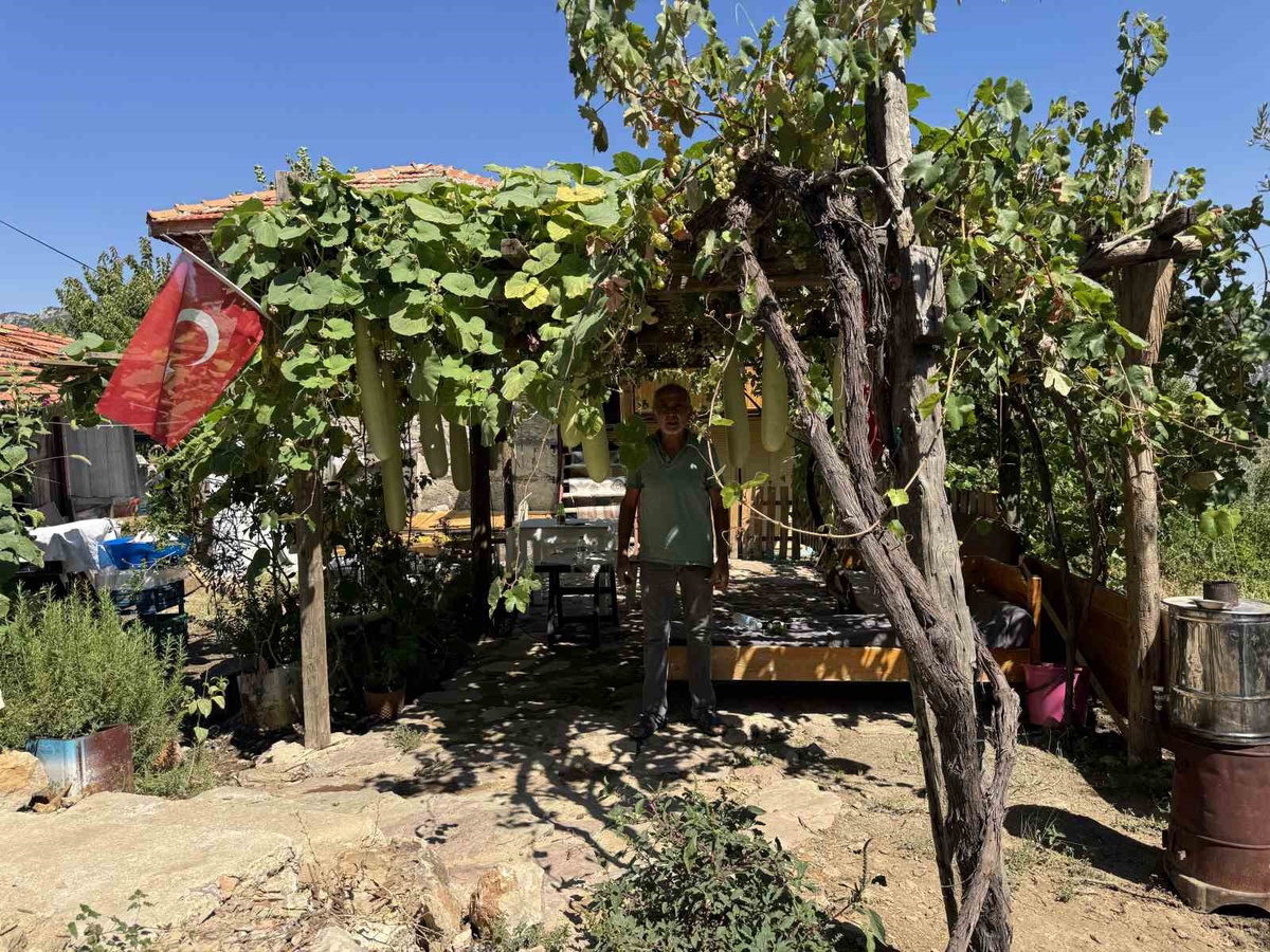 Antalya İbradı\'da 5 kökten 14 kabak alan Özdoğru\'nun su kabağı 96 santimetreye ulaştı