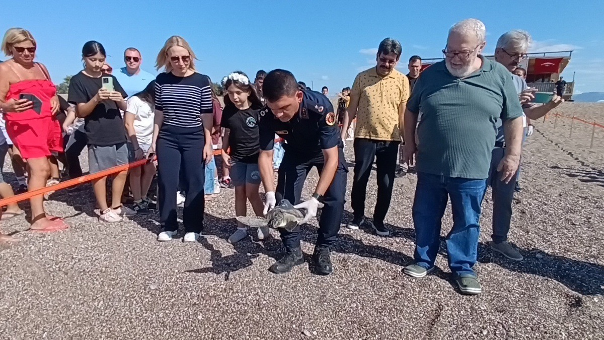DEKAFOK, Manavgat\'ta 2 yeşil deniz kaplumbağasını uydu takip cihazıyla denize bıraktı