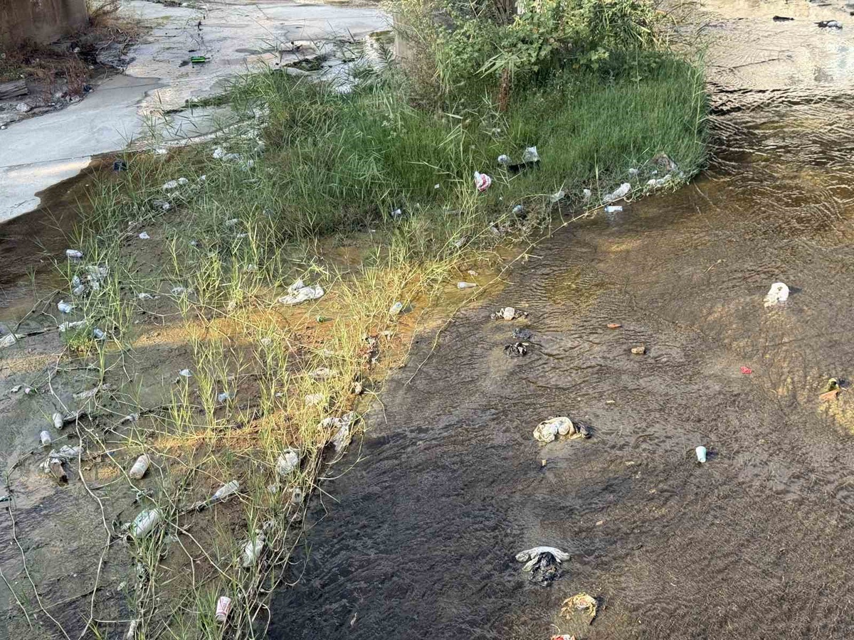 Tabakhane Deresi\'ndeki çöpler Aydın Efeler\'de kötü görüntü, çevre kirliliği oluşturdu