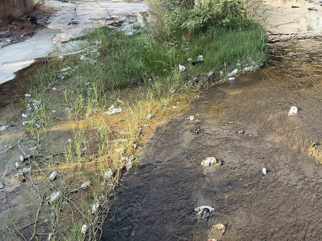 Tabakhane Deresi'ndeki çöpler Aydın Efeler'de kötü görüntü, çevre kirliliği oluşturdu