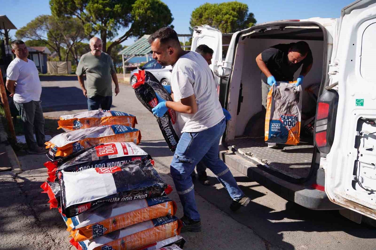 Ayvalık\'ta sokak hayvanları için toplanan 67 koli mama bakım merkezine teslim edildi