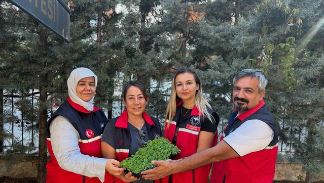 TAKE ile Burhaniye'de üreticilere yüzde 75 hibeli 300 bin 300 marul fidesi verildi