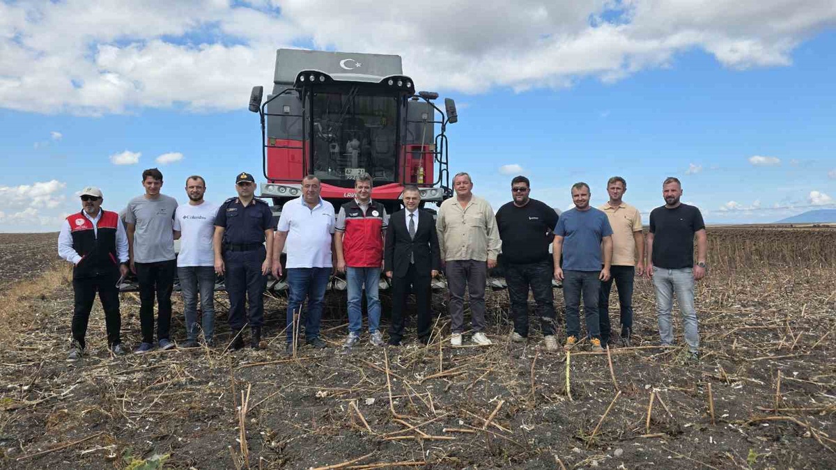 Bandırma Kaymakamı Öztürk, Beyköy\'de ayçiçeği hasadına katılıp üreticilerle görüştü