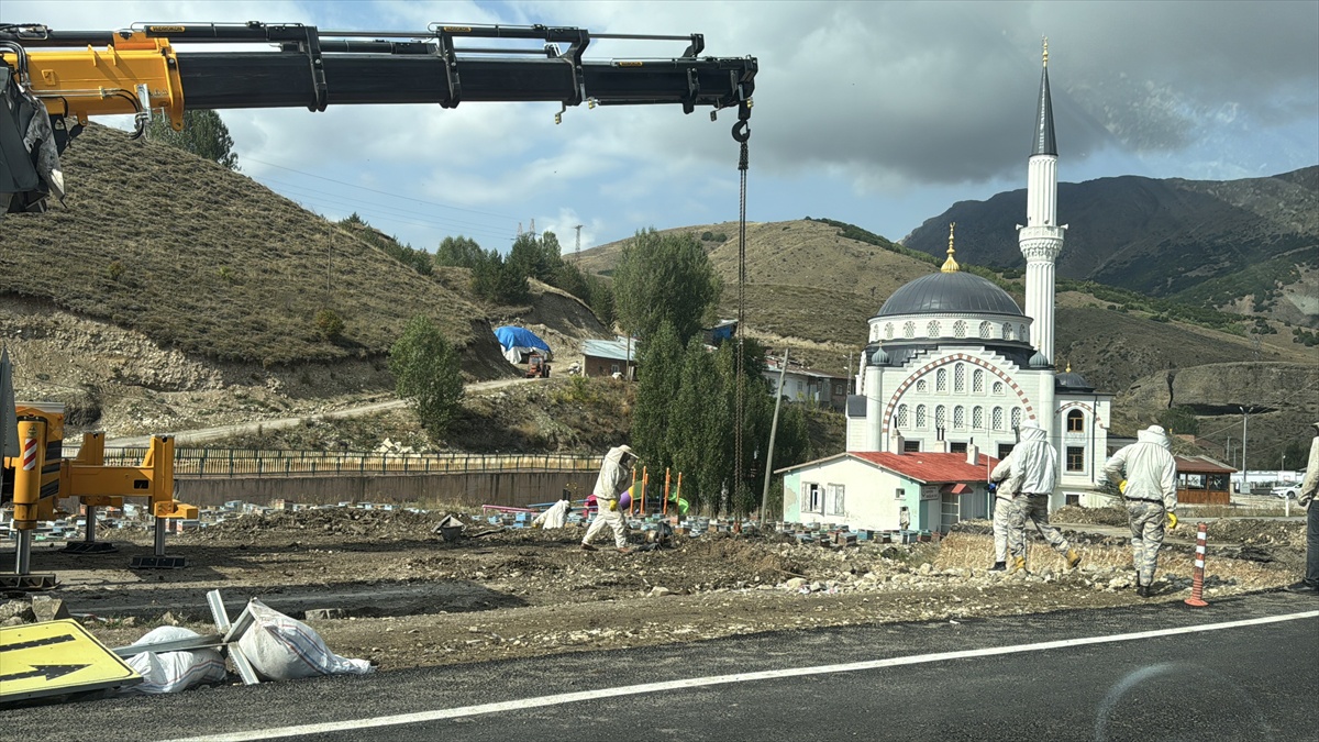 Ağrı\'dan Ordu\'ya arı kovanı taşıyan tır Bayburt\'ta çukura devrildi, sürücü yaralandı